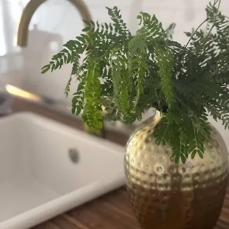 Casita El Dorado 木屋 *